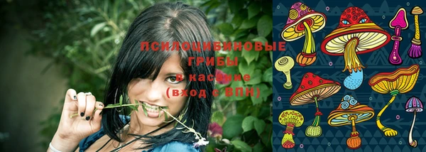 кокаин колумбия Богданович