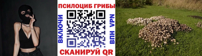 Псилоцибиновые грибы ЛСД  Дорогобуж 